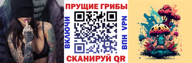 Псилоцибиновые грибы GOLDEN TEACHER Райчихинск